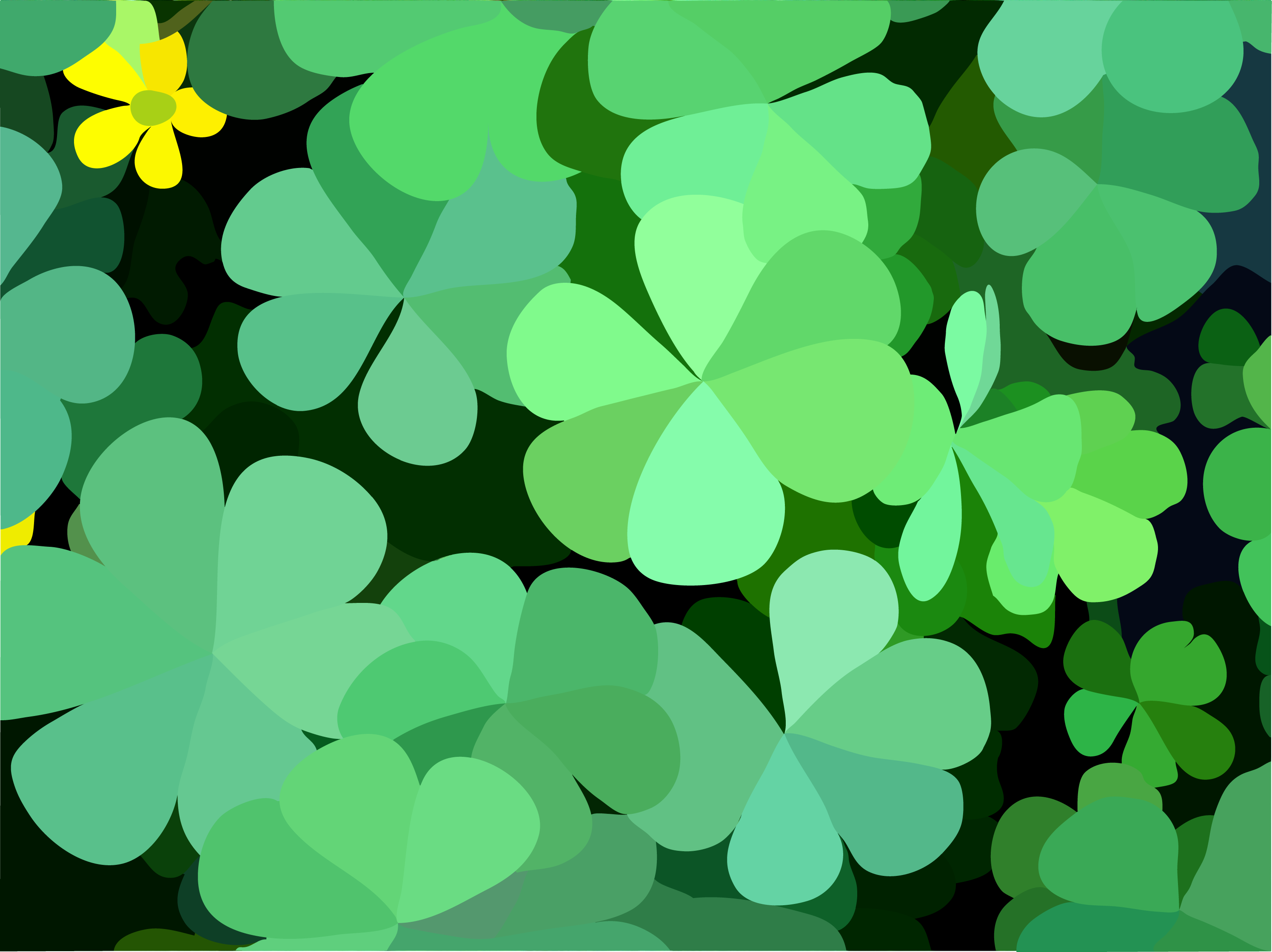 leaf.png
